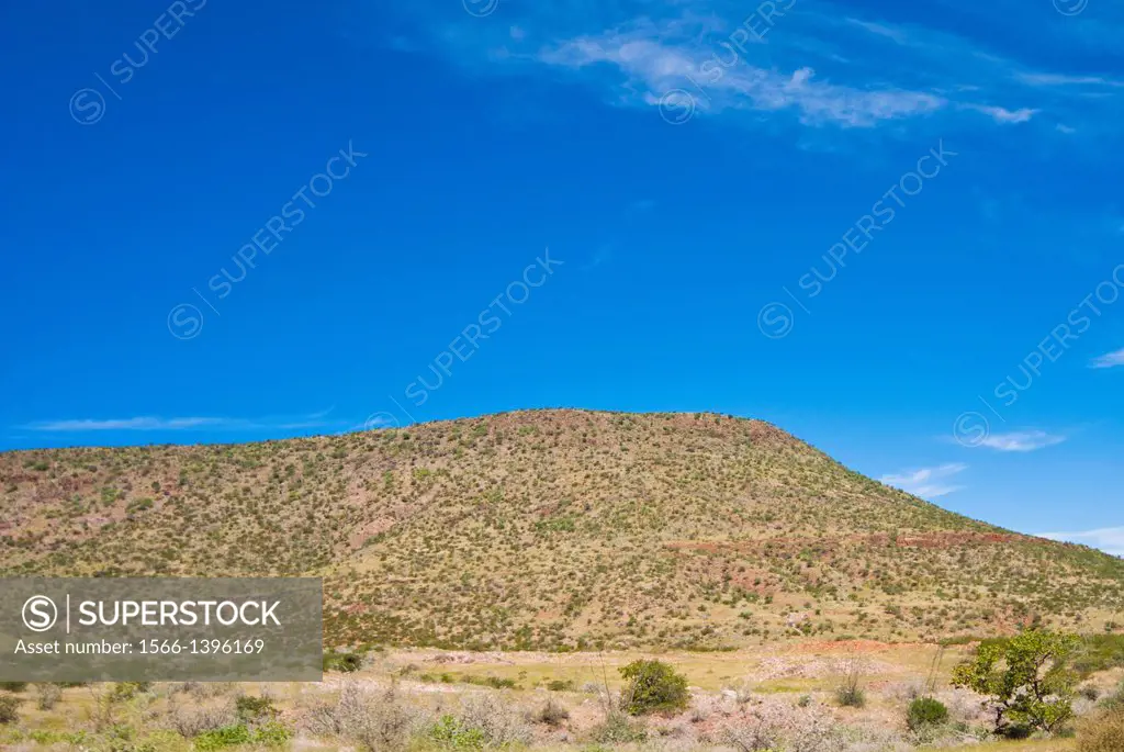Damaraland, Kunene Region, Namibia, Africa.