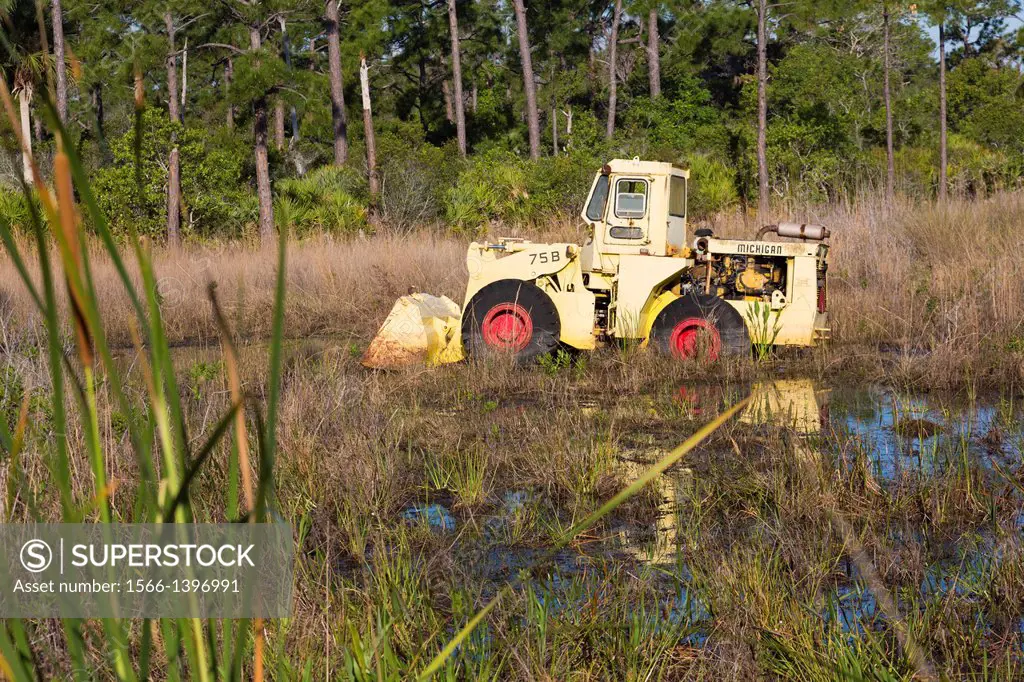 Abandoned front end loader in swamp. Fort Pierce, St. Lucie County, Florida, USA