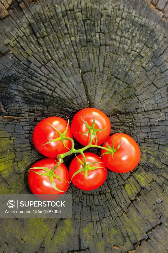 Tomatoes at a trunk.