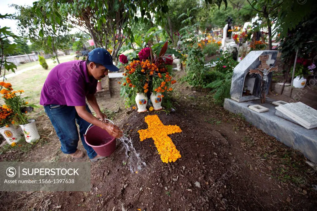 A man waters a tomb decorated with a cross of marigold flower petals during the Day of the Dead celebrations in Teotitlan del Valle, Oaxaca, Mexico. T...