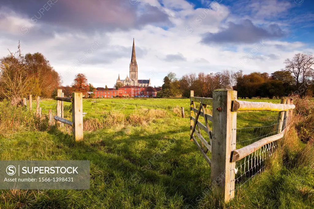 Salisbury cathedral and the west Harnham water meadows, England, UK.