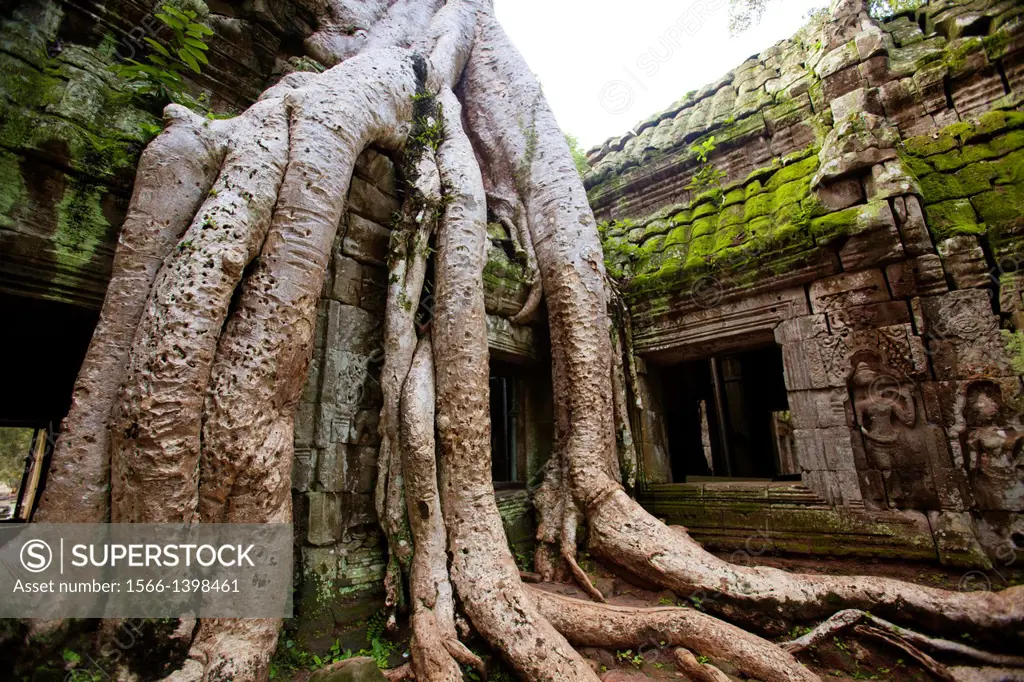 Ta Prohm is the modern name of what was originally called Rajavihar. Built in the Bayon style largely in the late 12th and early 13th centuries Ta Pro...