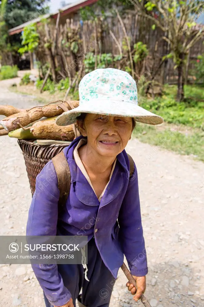 Elderly Lao woman in the countryside around Vang Vieng, Laos carrying Cassava root.