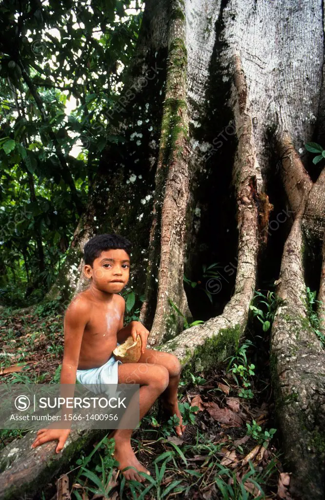 child, amazon rainforest, belem, state of para, amazon region, brazil, south america.