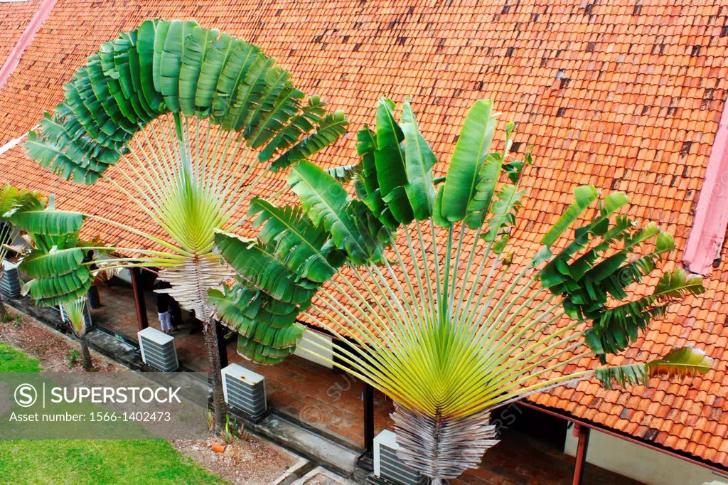 Garden of the Ethnograpic Museum of History with Palms and roof, Malacca, Bandar Melaka, Malaysia.
