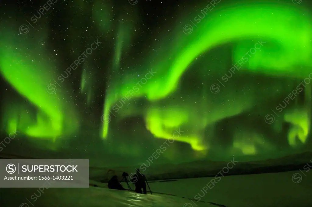 Northern lights in Abisko, arctic Sweden.
