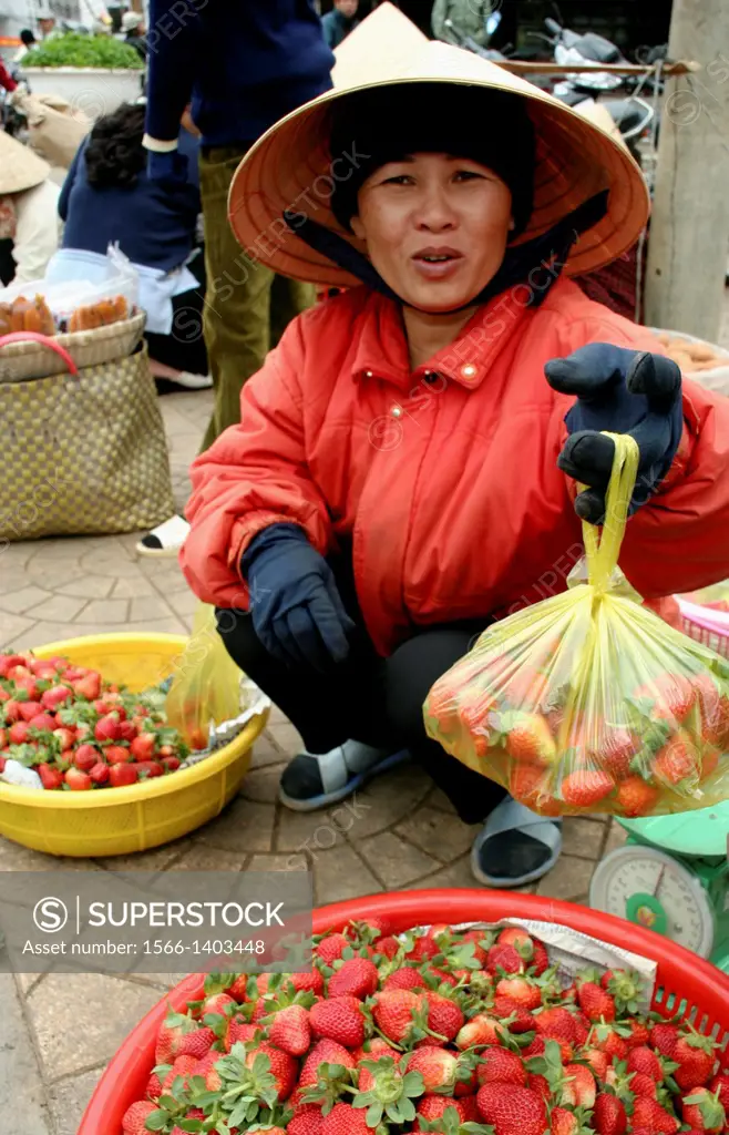 Dalat is known for its fresh flowers and strawberries for which the region is famous in Vietnam.