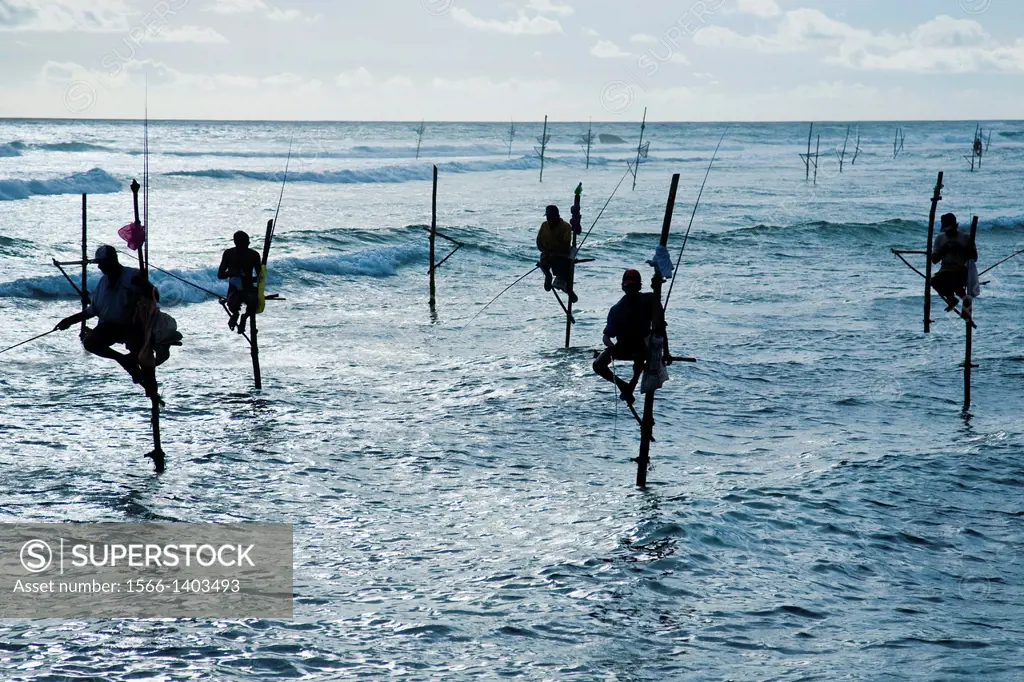 Sri Lankan Stilt Fishermen - Stilt fishing is fishing in relatively shallow water on a platform made up of a stilt. This is a common method used by Sr...