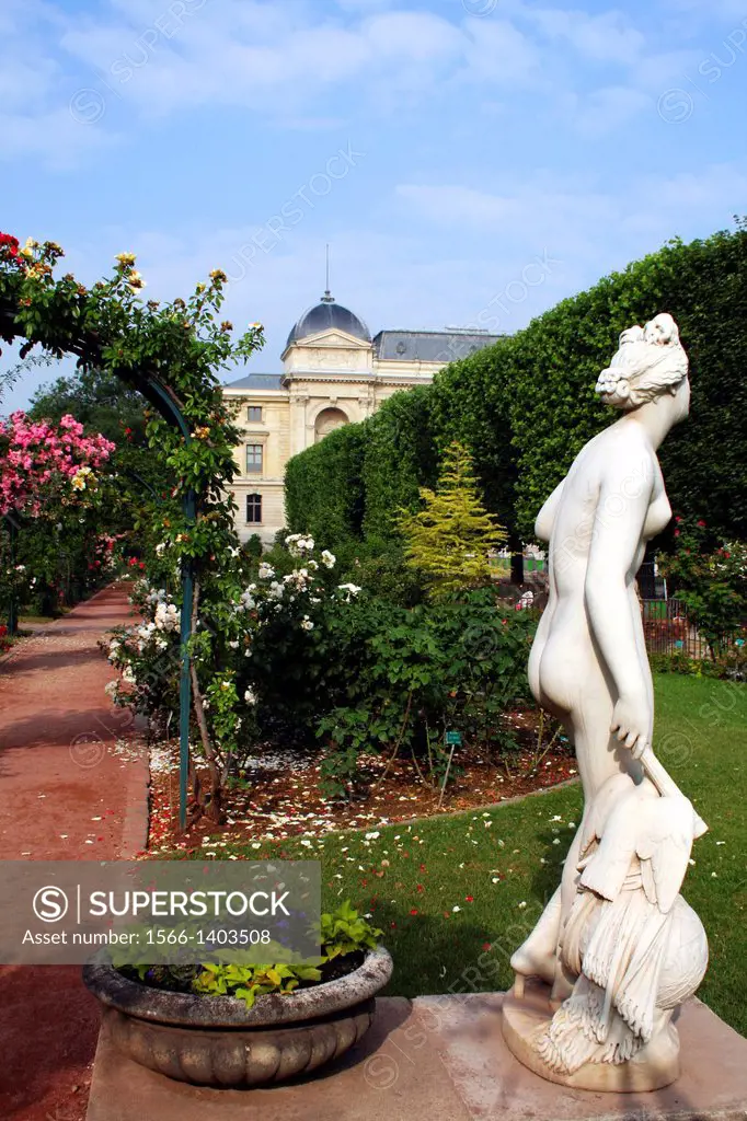 The Jardin des Plantes is one of seven departments of the Museum National d'Histoire Naturelle. Three hectares are devoted to horticultural displays o...