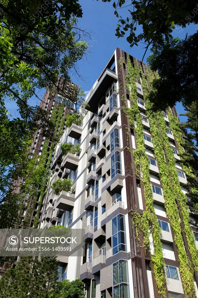 Ideo Morph 38 is well known in the Sukhumvit area for its signature green walls that protect it from the morning sun. It is also called Ashton Condomi...