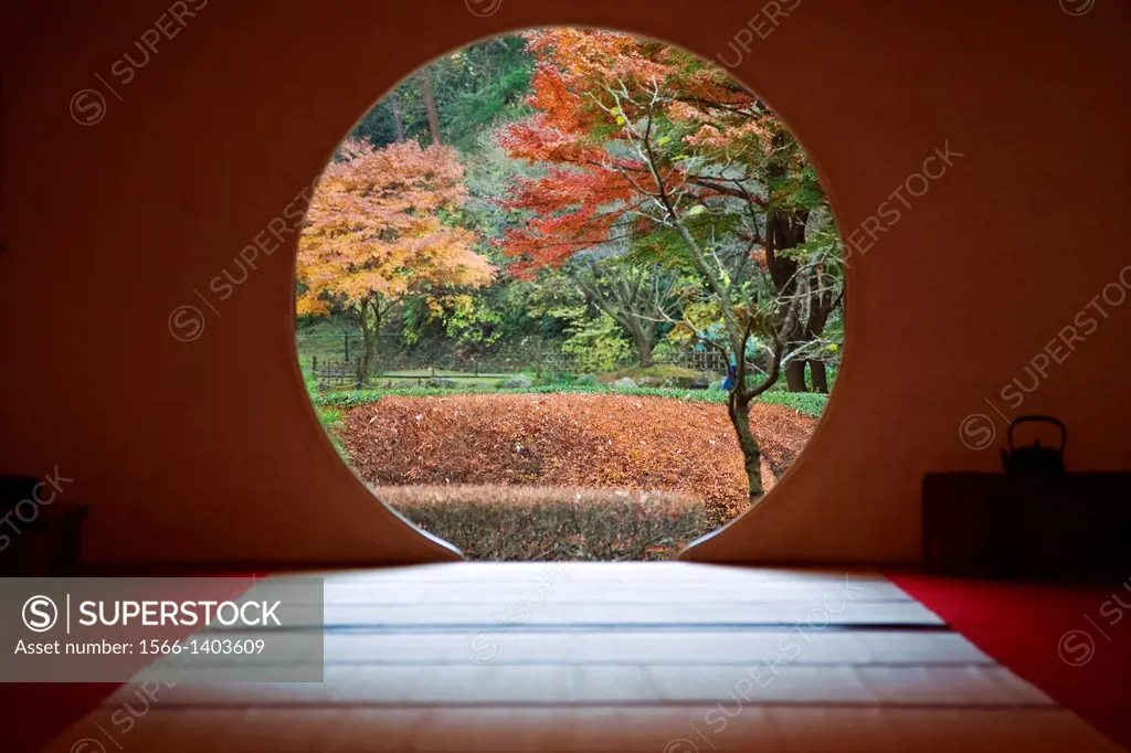 Meigetsuin is a Zen temple in Kamakura in harmony with nature. Composed of two gardens, one zen dry garden in front and a strolling garden in back. Me...