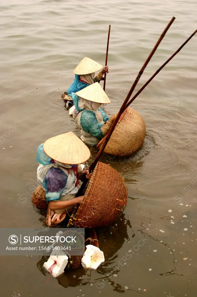 Vietnamese women in conical hats fishing the cold waters of Tay Ho Lake, Hanoi.