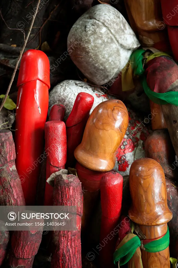 Literally hundreds of penises or rather phallus statue or statuettes from small wooden carvings to big stone sculptures that stand ten feet tall and d...
