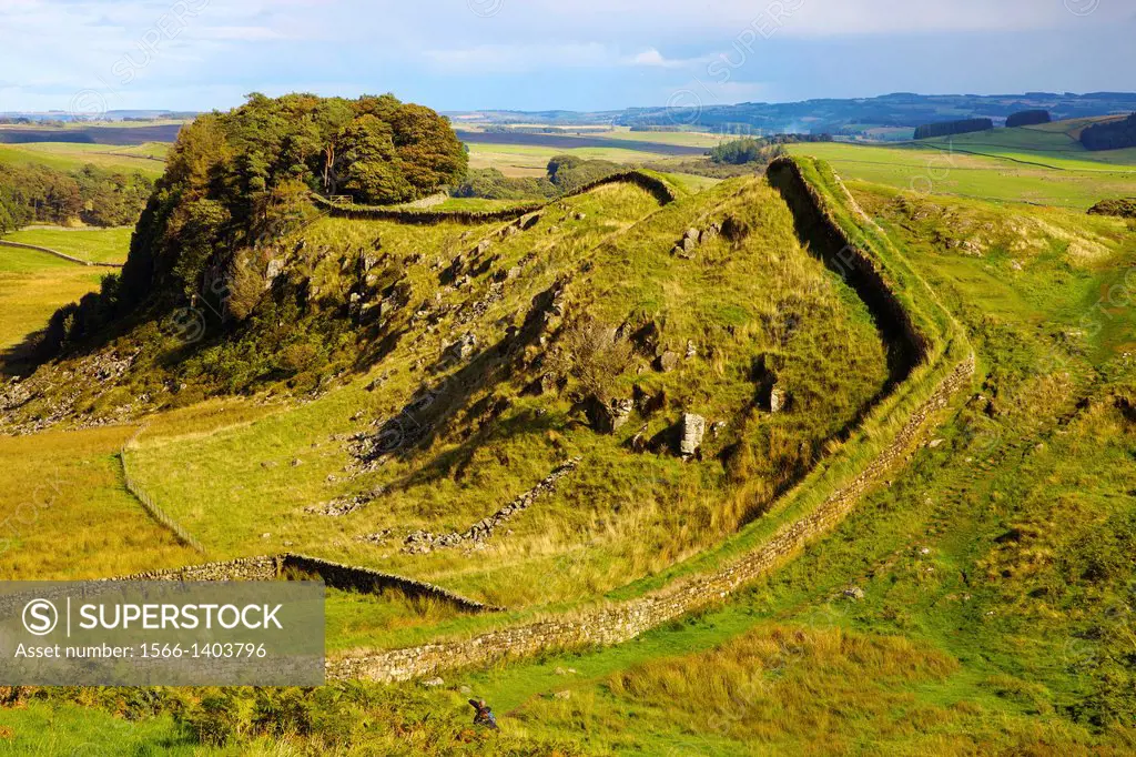 Hadrian´s Wall near Housteads Roman fort on Hadrians Wall National Trail, Northumberland England United Kingdom Great Britain.
