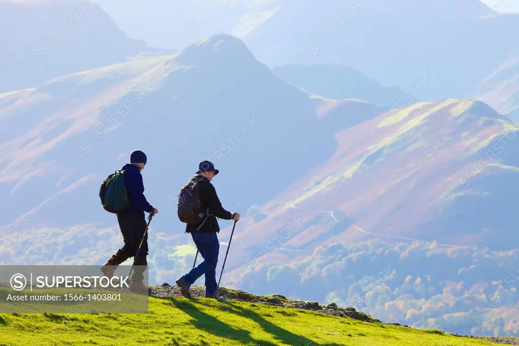 Hikers walking on Latrigg with Cat Bells behind Lake District National Park Cumbria England United Kingdom Great Britain.