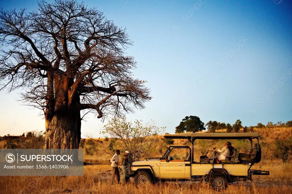 One of the 4x4 vehicles Orient Express makes a stop along the way at sunset to make a tea and watch the sunset next to a baobab . Near Camp Savute Ele...