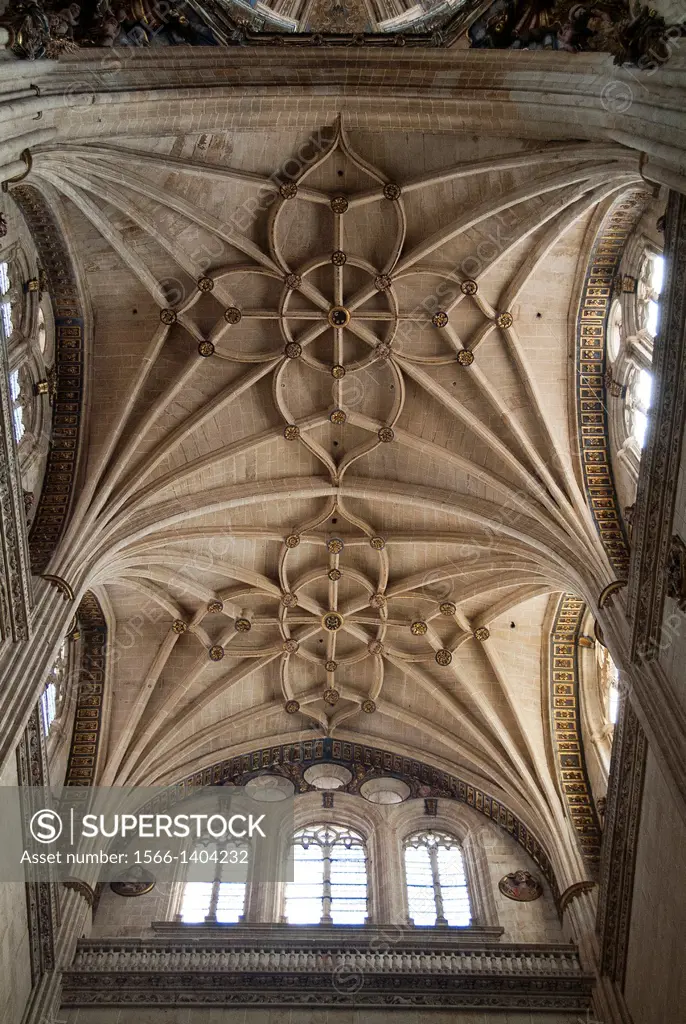 Architectural detail, transept of the New Cathedral (Cathedral of the Asunción de la Virgen) built in Late Gothic and Baroque styles (16th-18th centur...