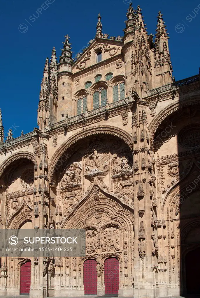 West façade, main front of the New Cathedral (Cathedral of the Asunción de la Virgen) built in Late Gothic and Baroque styles (16th-18th century), Sal...