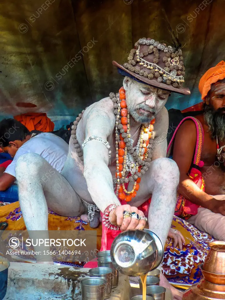 portrait of naked sadhu or naga sadhu in Rishikesh, India