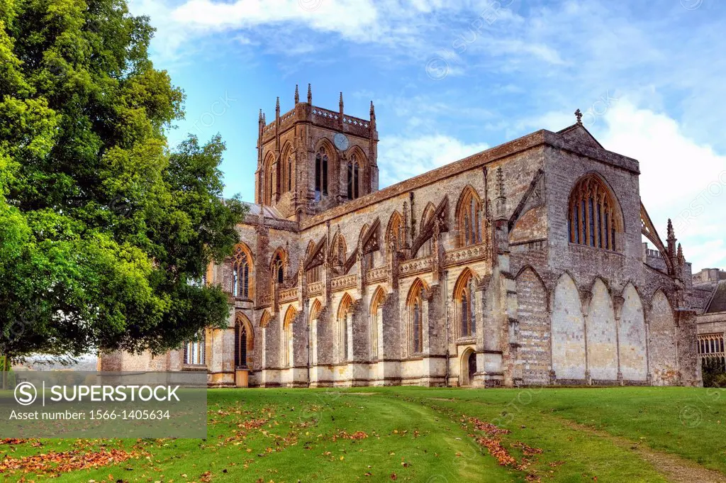Milton Abbey, Dorset, England, United Kingdom.