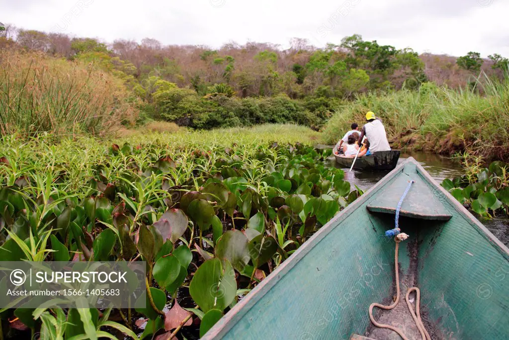 Parque Nacional de Chapada Diamantina, Lencois, Bahia, Brazil: Tourists with their local travel guides on a boat trip through the marshy landscape of ...