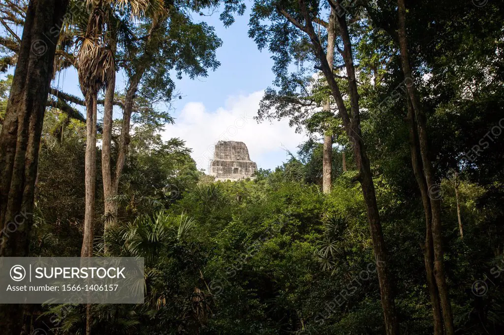 Guatemala, Tikal, Templo IV.