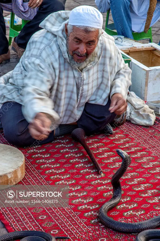 Snake Charmer, Jemaa el-fna Square, Marrakech, Morocco.