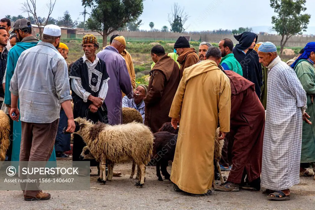 The Weekly Livestock Market, Taroudant, Morocco.