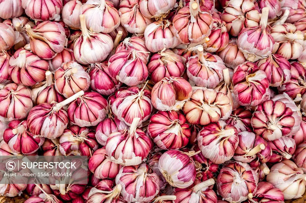 Garlic Bulbs For Sale At A Street Market, Taroudant, Sous Valley, Morocco.