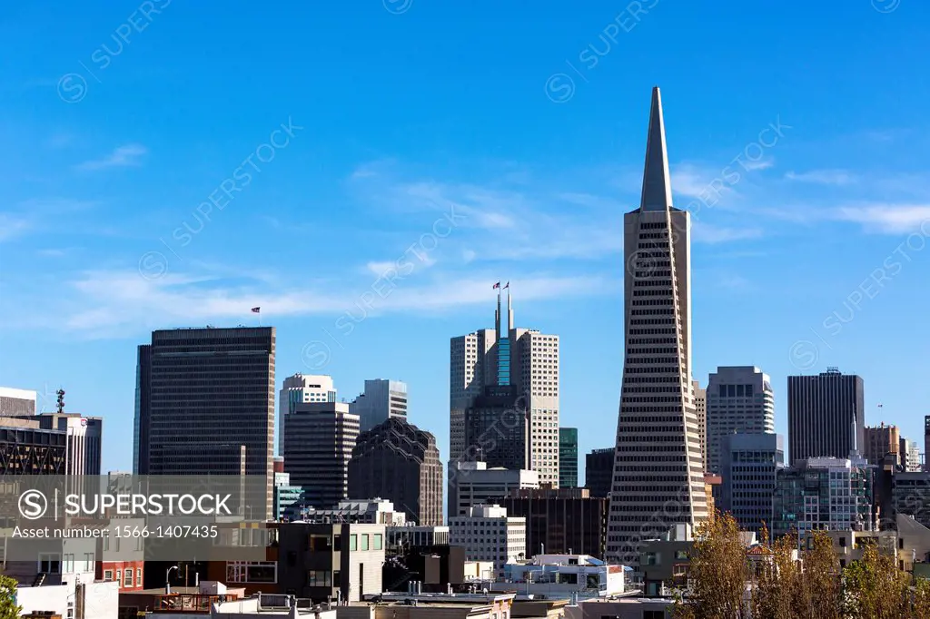 San Francisco skyline with Transamerica Pyramid, California, USA