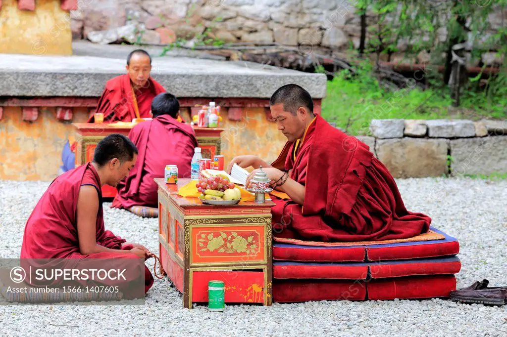 Monks dispute, Sera Monastery, Wangbur Mountain, Lhasa Prefecture, Tibet, China.