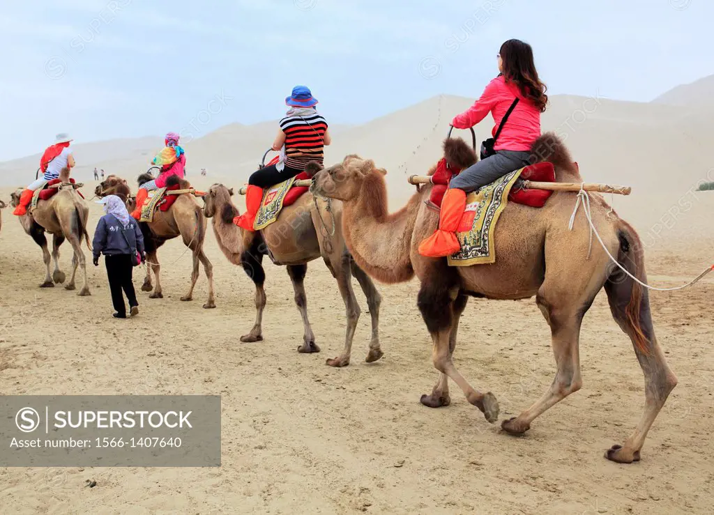 Camels riding near Crescent Lake, Dunhuang, Gansu province, China.
