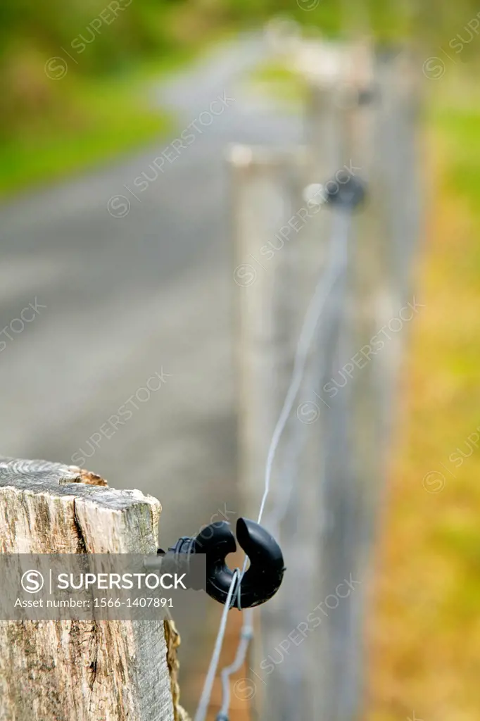 Electric fence for animals, Getaria, Guipuzcoa, Basque Country, Spain.