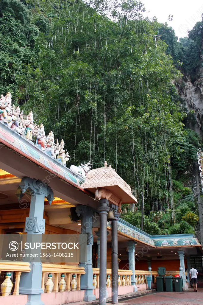 Temple with tree across the roof, Batu Caves are a set of caves, some of which have been converted into temples, in a limestone hill located 10 kilome...