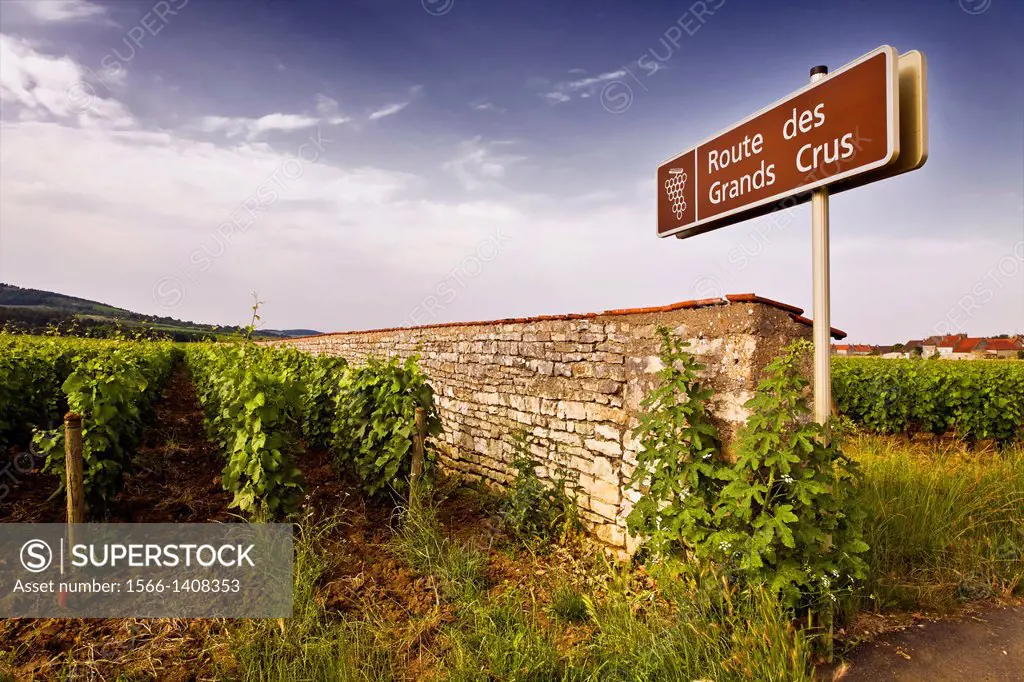 domaine olivier leflaive in puligny-montrachet.