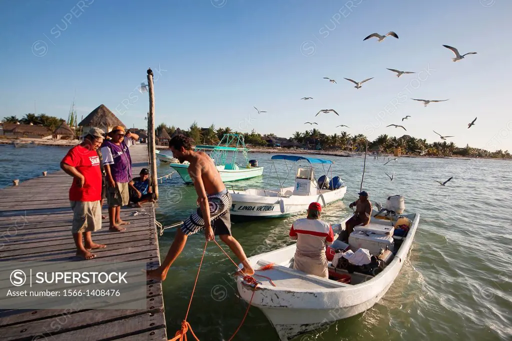 Fishermen and birds, Isla Holbox, Cancun, Quintana Roo, Yucatan Province, Mexico.