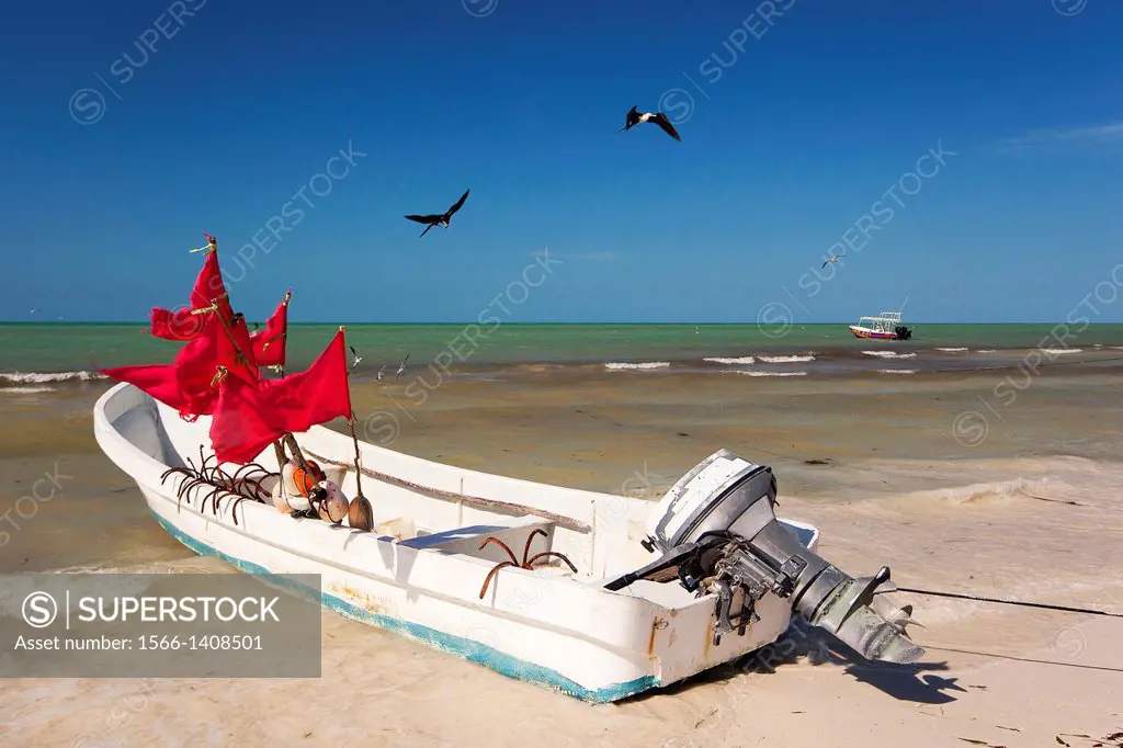 Fishing boats and birds looking for food, Isla Holbox, Cancun, Quintana Roo, Yucatan Province, Mexico.