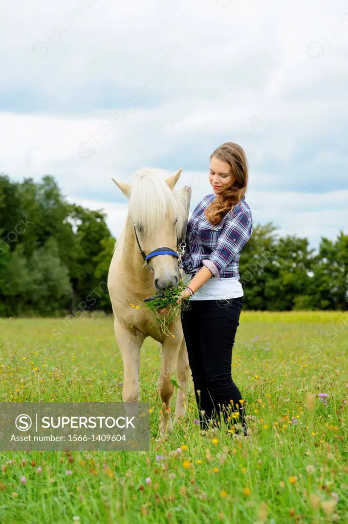 Young woman with a Icelandic horse on a meadow, Germany.