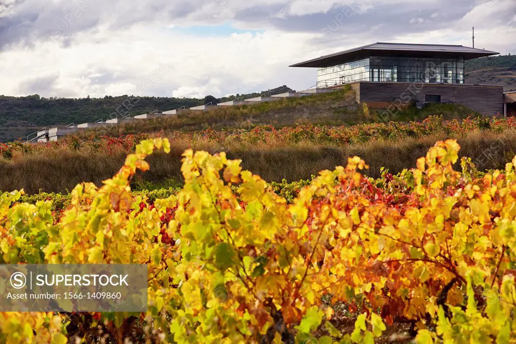Vineyards. Winery Building Architect Iñaki Aspiazu. Bodegas Baigorri. Samaniego. Araba. Rioja Alavesa. Basque Country. Spain.
