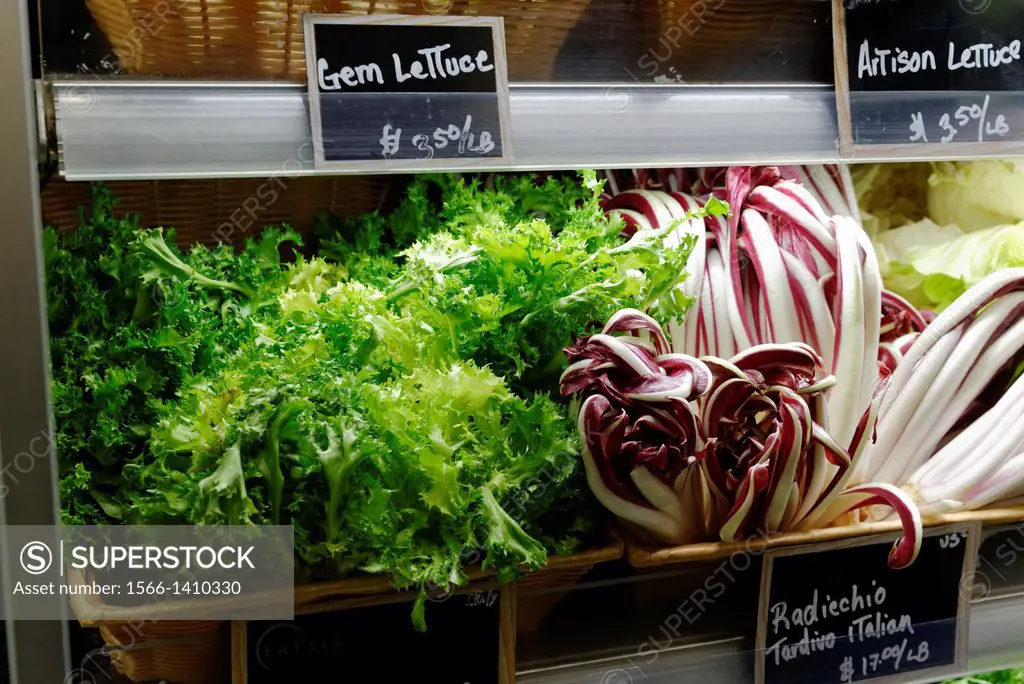 Italian Radiccio and Green Leaf Lettuce, Displayed and Offered for Sale in Baskets, Resting in a lighted Displaly Case, New York, NY, USA.