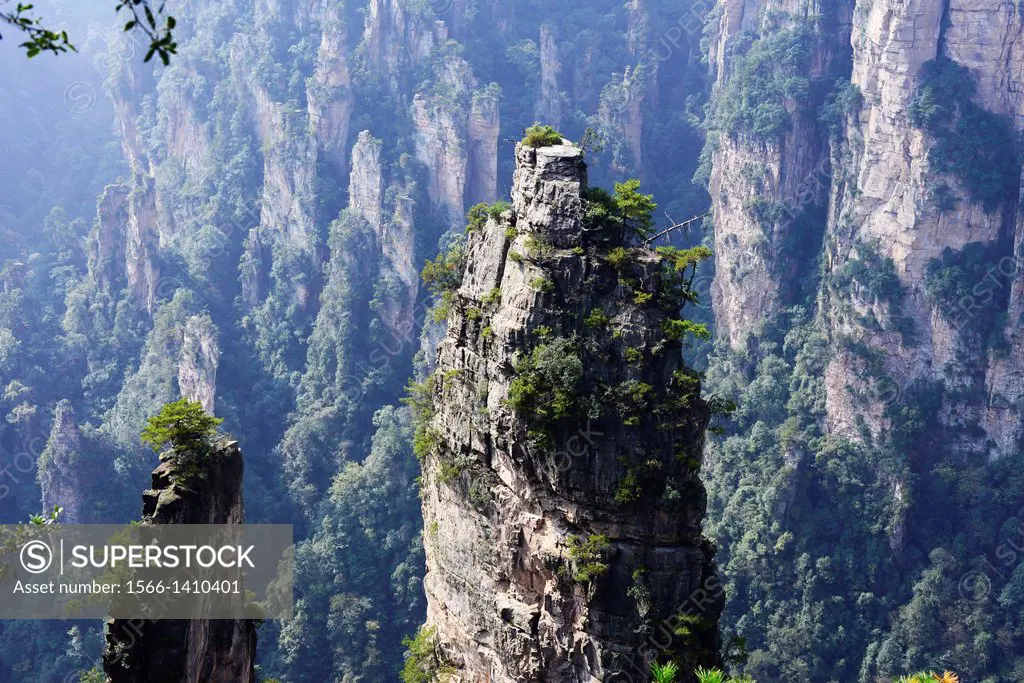 Beautiful rock formations at Zhangjiajie national park in Hunan, China.