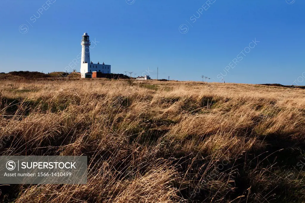 Flamborough Head Coastal Grassland and Lighthouse East Riding of Yorkshire England.