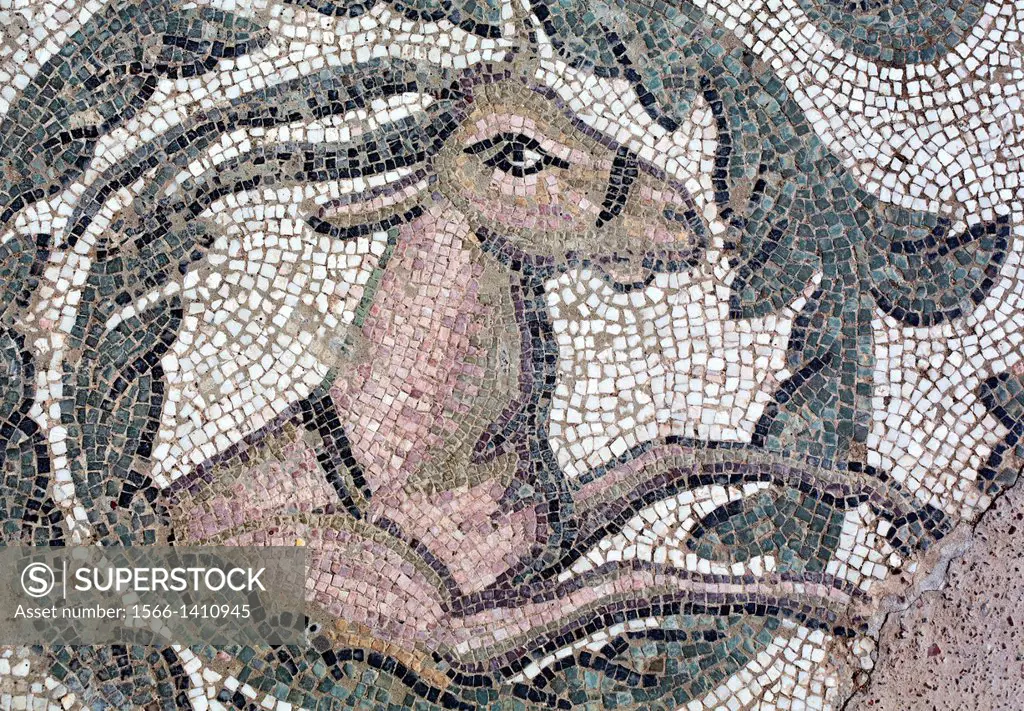 Roman floor mosaic, Villa Romana del Casale, Piazza Armerina, Sicily, Italy.