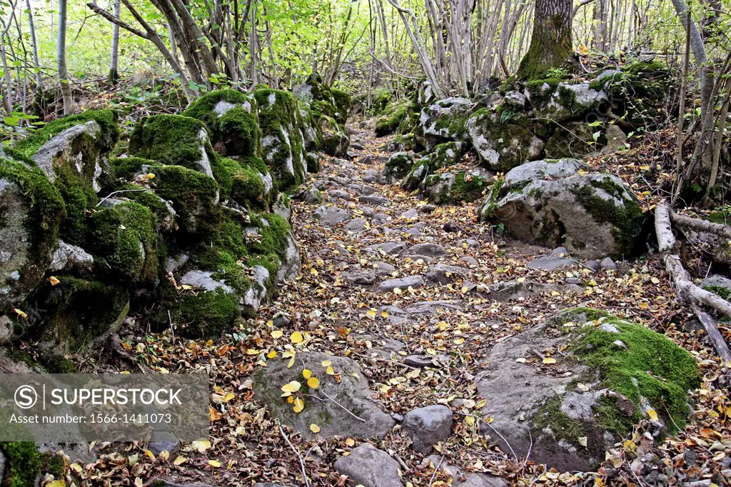 Path, Cami de les Fonts, Vall de Boi, Pyrenees, Catalonia, Spain