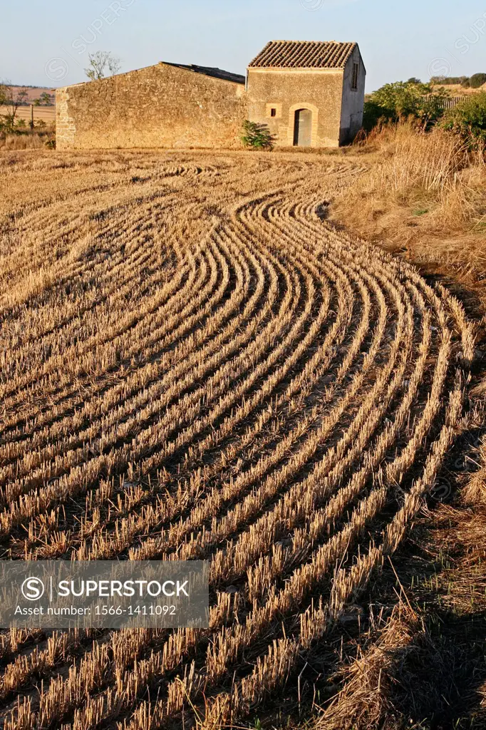 Reaped cereal field, La Segarra, Catalonia, Spain