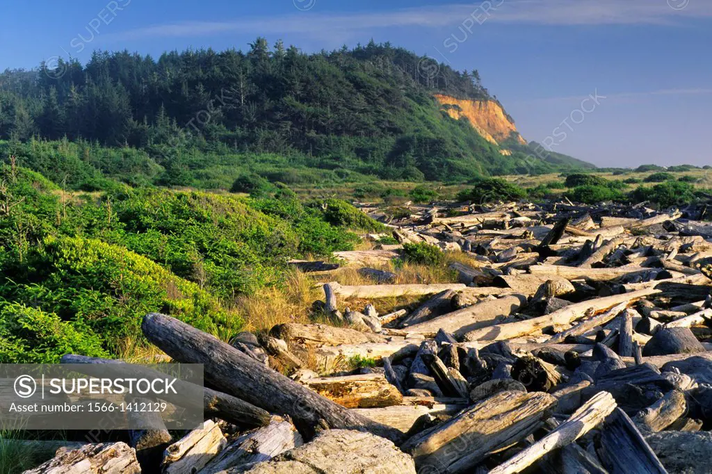 Driftwood at Gold Bluffs Beach, Prairie Creek Redwoods State Park, Humboldt County, CALIFORNIA.