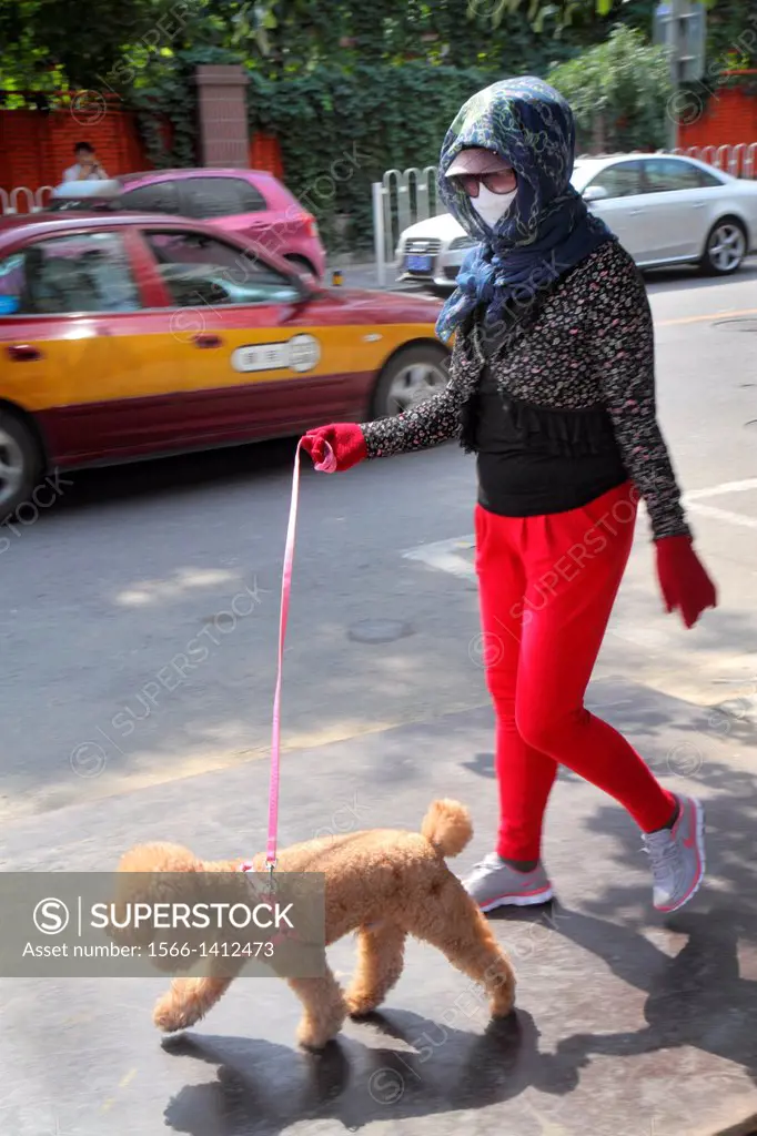 China, Beijing, Chaoyang District, Panjiayuan, Asian, woman, walking dog, leash, pet, poodle, wearing face mask,.