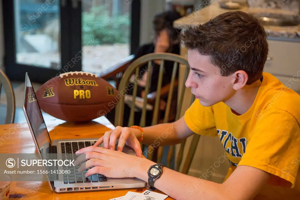 Washington, DC - High school freshman, 15, works on his laptop computer.