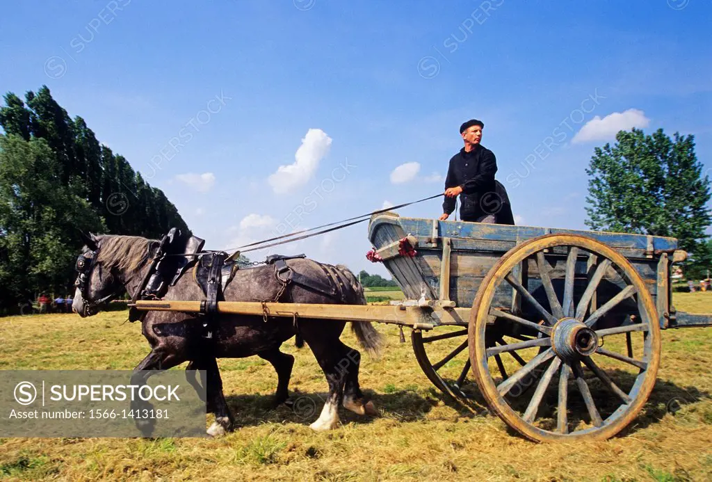horse-drawn cart, equestrian and agricultural show, Regional Natural Park of Perche, Orne department, Lower Normandy region, France, Western Europe.
