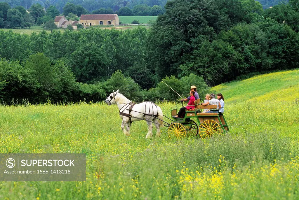 horse-drawn carriage with Percheron horse from Trait Nature family business at La Chapelle-Souef, Regional Natural Park of Perche, Orne department, Lo...